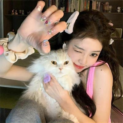 北好莱坞